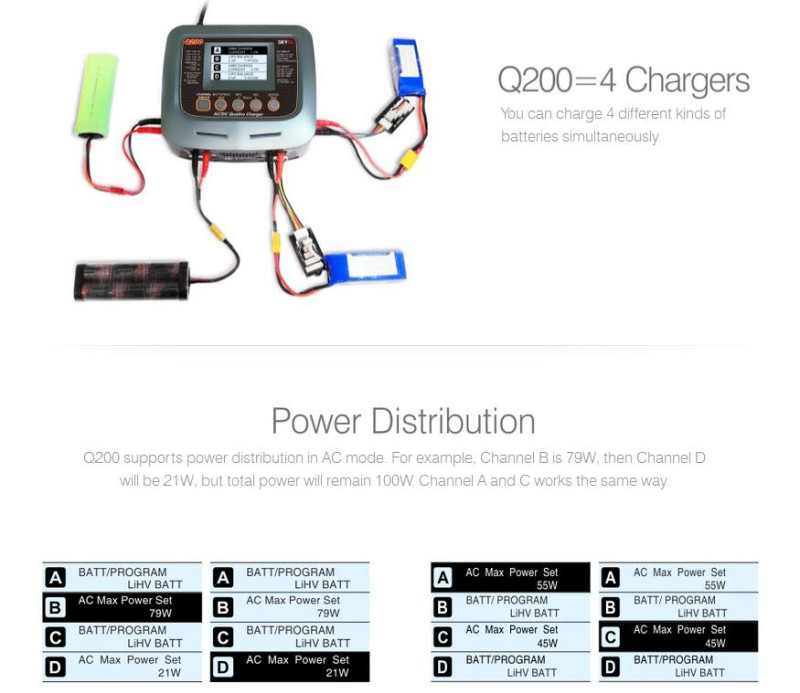 SKYRC Q200 1~4 インテリジェント 充電器/放電器 AC/DC バランス充電器 SK-100104